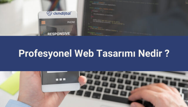 Profesyonel Web Tasarımı Nedir