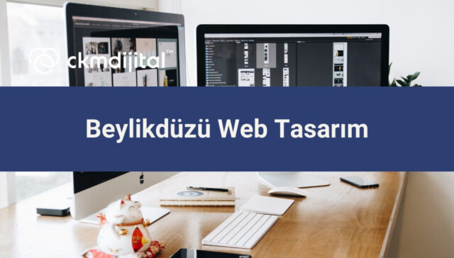 Beylikdüzü Web Tasarım