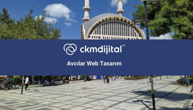avcılar web tasarım