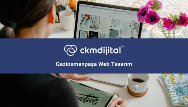 Gaziosmanpaşa web tasarım
