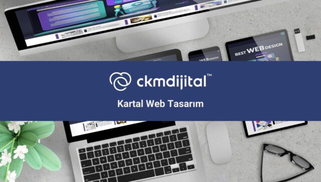 kartal web tasarım