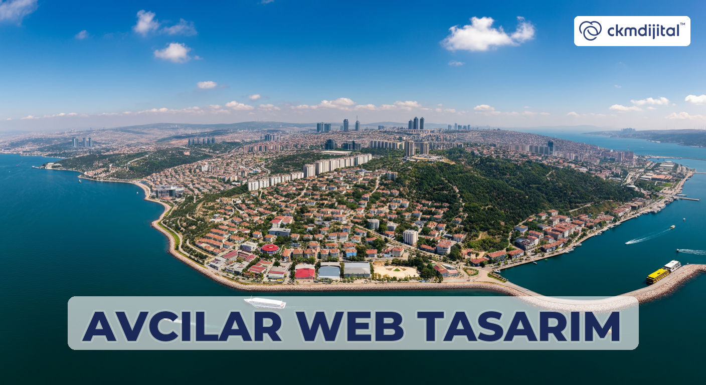 Avcılar Web Tasarım